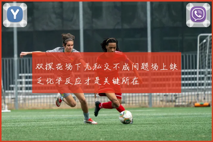 双探花场下无私交不成问题场上缺乏化学反应才是关键所在