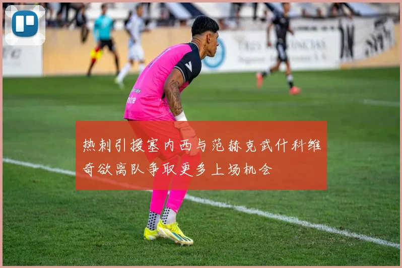 热刺引援塞内西与范赫克武什科维奇欲离队争取更多上场机会