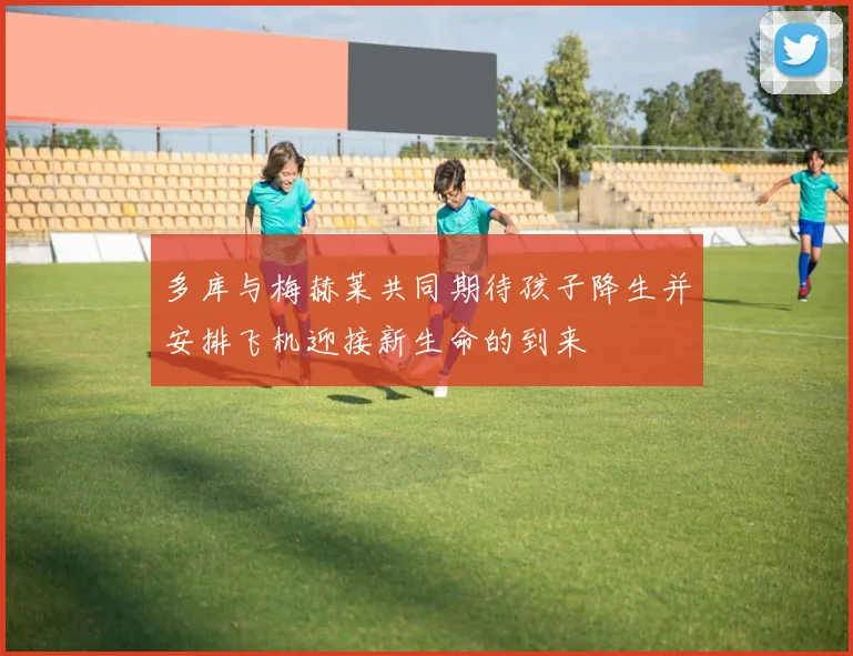 多库与梅赫莱共同期待孩子降生并安排飞机迎接新生命的到来